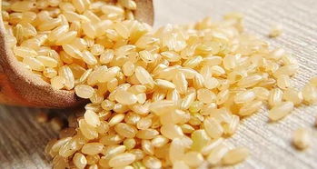 糙米里面为什么有绿色的米(糙米里面怎么有绿色的颜色?)