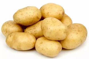 马铃薯属于果实吗,马铃薯是种子还是果实？