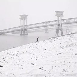 下雪啦 武汉的雪认真下起来,真得好美