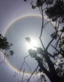 重庆巫山天空惊现日晕