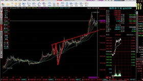 炒股入门与技巧txt