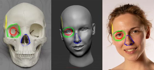 3D人物建模入门教学 脸部解剖知识,模型变得精致好看 关键就在这