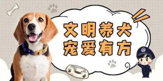 强力整治不文明养犬行为 柳州警方连续开出多张罚单