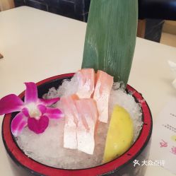 坂鲜料理 海景店 的三文鱼 半斤250g好不好吃 用户评价口味怎么样 湛江美食三文鱼 半斤250g实拍图片 大众点评 