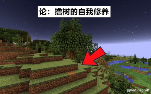 为什么不要让树木漂浮在Minecraft中 一个关于 树 的玄学