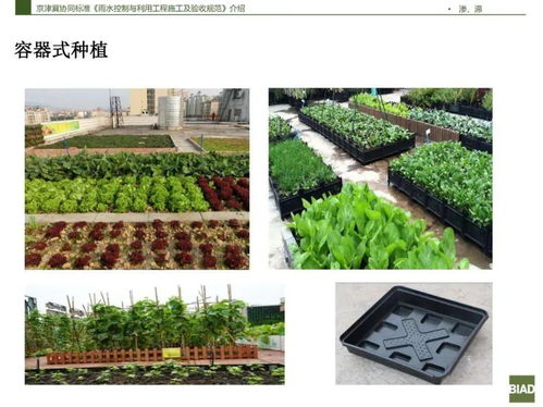 筹建公墓楼的报告范文格式-利用荒山建公墓怎么办手续？