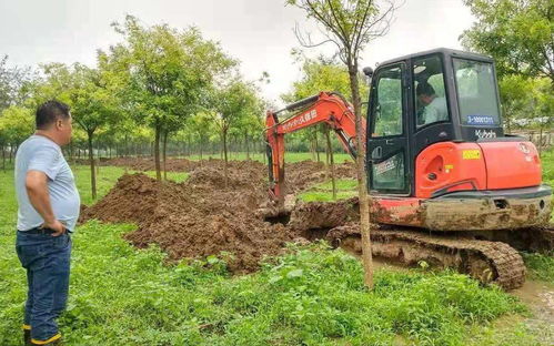 雨水倒灌大棚 平谷马坊河北村为葡萄种植户埋设排水道