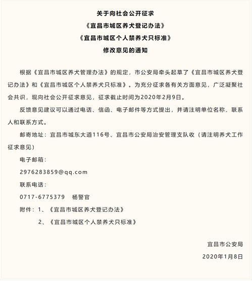 宜昌城区养犬登记办法征求意见 31种犬只拟禁养
