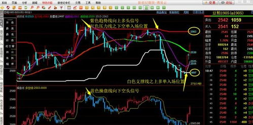 期货新手应该 怎样学习期货知识