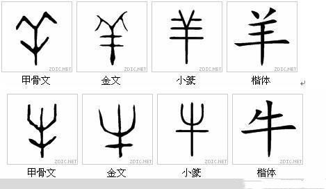 名字是如何被画错符的 繁体字简体字之争