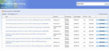 10.13.3安装win10失败