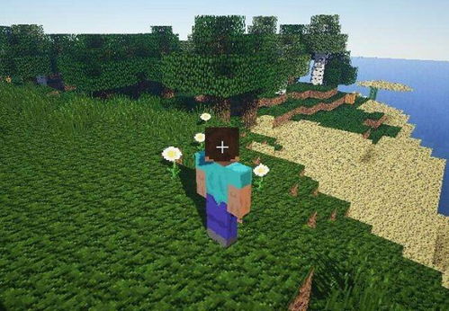 暴躁老外玩Minecraft中国:看外网大佬的搞笑瞬间  MC新手指南:快速入门教程和热门服务器推荐