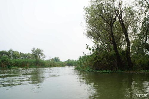 杭州 探寻西溪湿地 下