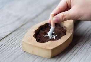 揭秘尼古丁口香糖，健康风险与戒烟误区解析 - 5 - 635香烟网