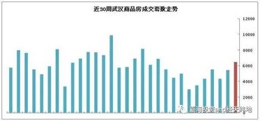 新手入市，低资金，买武汉的那种股票最好！