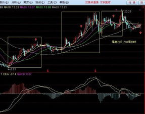 现货减仓上行拉涨停什么意思