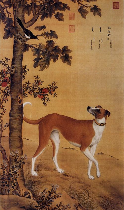 揭秘古代中国吃狗肉的历史,原来这么早就开始了 爱狗者勿看