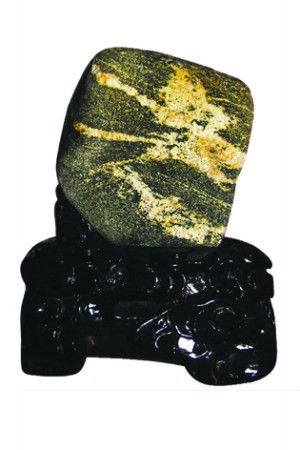 泰山上的全运奇石 一年收集80块全运泰山石 
