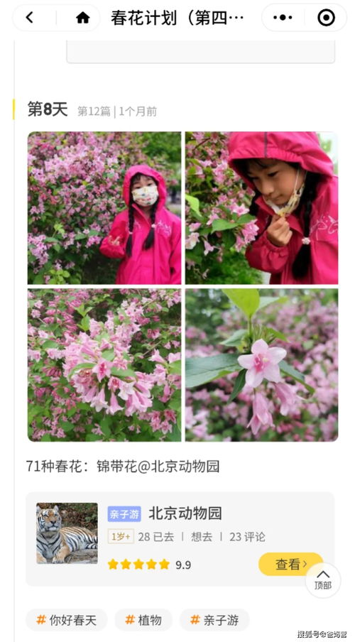 父母适合送12岁女儿的鲜花