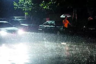 本周青岛进入阴雨模式,气象台预测天气全靠 约目