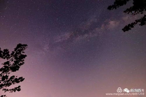 解释词语 依偎 深邃  《仰望星空》这首诗的原文？