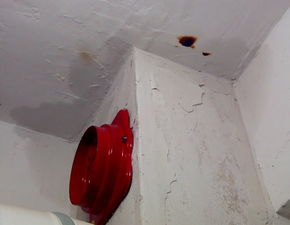 楼上装修,我家厕所墙壁渗水 