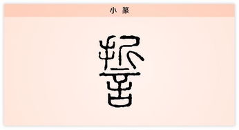 每日一字