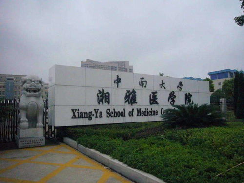 北京医学院有哪些