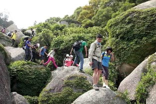 曝光 厦门岛内这座山竟私藏这么多美景 赏花踏青何必远行