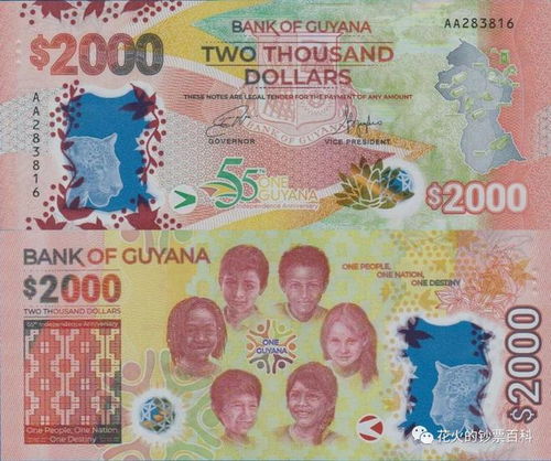 新版钞票发行记：印尼、巴基斯坦与斐济的货币新篇章
