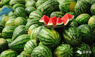 夏天吃西瓜有哪些好处 怎么吃才是正确的 