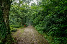 杭州九溪十八涧怎么去,杭州九溪烟树在哪里,九溪十八涧交通路线