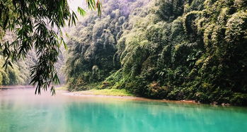 彭水阿依河旅游景区攻略,阿依河旅游景区门票 地址,阿依河旅游景区游览攻略 马蜂窝 