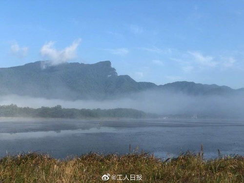 随手拍大片 湖北神龙架林区晨雾宛如人间仙境