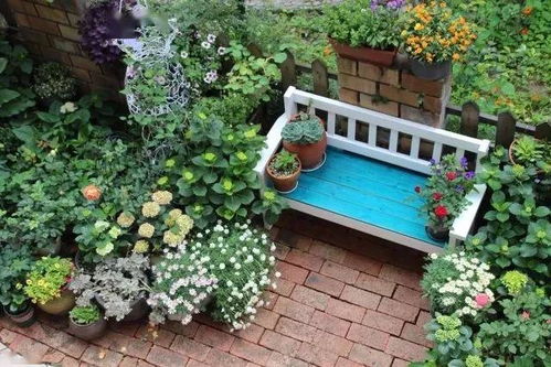 她用一年多时间,改造一个40多平米狭长的花园,把美好生活装进院子里 花架 