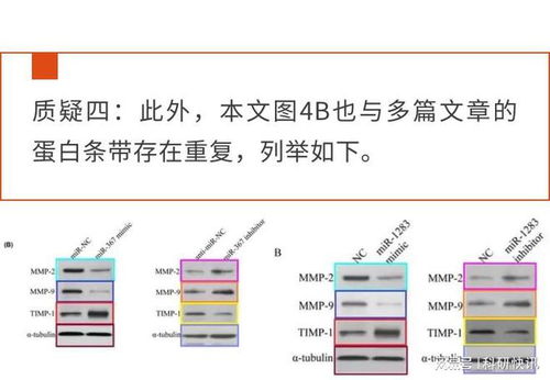 论文发表必须查重吗 发表SCI论文有查重要求吗？