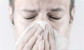 鼻子不舒服感冒前兆吃什么药