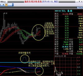 000100长线持有怎么样？