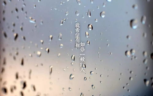 玻璃雨滴壁纸 文章阅读中心 急不急图文 Jpjww Com