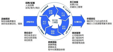 人力资源培训的专业知识