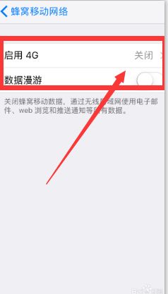苹果手机怎么不显示4G网络 
