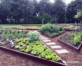 农村菜园都设计成这样,既能当花园,又能当菜园