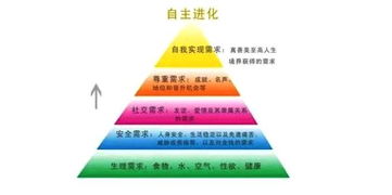 心理学之 高峰体验 马斯洛