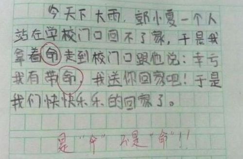 小学生0分作文走红,老师发现内容另有深意,直言 墨水分都不给