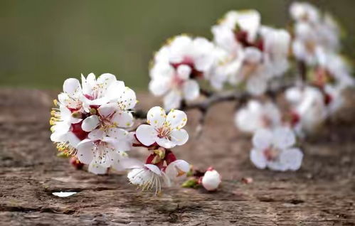 5月下旬,十二星座运势红榜下,双子座被幸运眷顾,会有惊喜