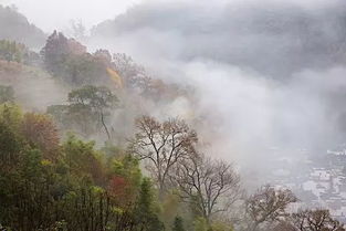 婺源长溪村秋色美丽晨景 组图