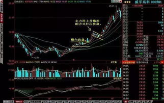 中国股市，操作88次没有获利，本金将全部损失。是真的吗？(佣金最低收取标准是5元)