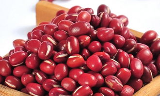 大红袍赤豆种植要求,赤小豆种植