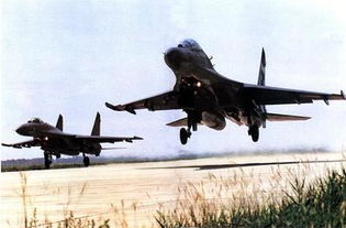 东山岛军演 争夺制空权是登陆成功的关键 组图 