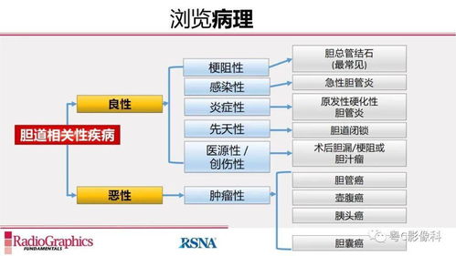 磁共振胰胆管成像 MRCP 放射科医生必须知道的专业知识